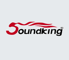 SOUNDKING - Звуковое и световое оборудование, музыкальные инструменты.